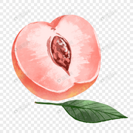 萝莉视频下载最新版